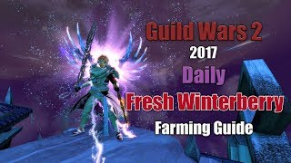 GW2 2019 Daily Gathering Fresh Winterberry Farming Route in Bitterfrost Frontier [upl. by Nnaeirual]