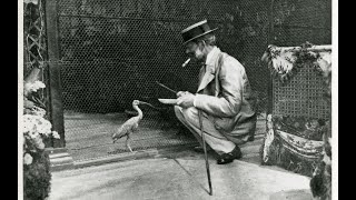 A Family Fascination A History of Birds at Waddesdon [upl. by Ailasor297]