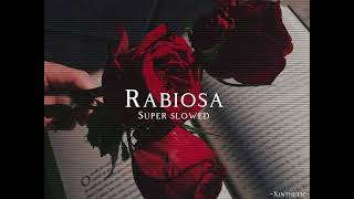 Rabiosa  súper slowed  by Shakira  español version [upl. by Leaw7]