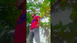 🌹o akash sona sona 🌹song video graphics video follow hailight [upl. by Wistrup]