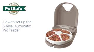 How To Setup Your PetSafe® 5Meal Automatic Pet Feeder [upl. by Kcirde]