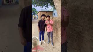 Bhai sahab adresh bataoge comedy funny sorts [upl. by Nel201]