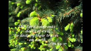 Responsorial Psalm  Psalm 34 quotThe Lord hears the cry of the poorquot [upl. by Kcired729]