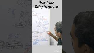 Isocitrate Dehydrogenase TCA Cycle II Step [upl. by Janel462]