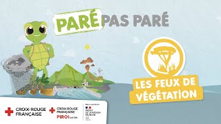 Les feux de végétation à La Réunion [upl. by Oznofla]