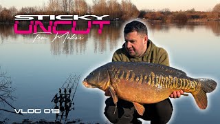 Catching Big Carp at Linear Fisheries  Carp Fishing  Tom Maker  Vlog013  Sticky Uncut [upl. by Atiseret970]