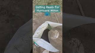 Filling Sandbags For Hurricane Milton 🌀 [upl. by Ahsemo380]