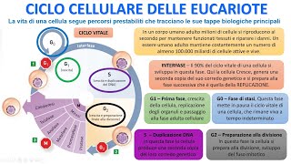 CICLO CELLULARE DELLE CELLULE EUCARIOTE [upl. by Tuppeny]