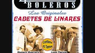 los cadetes de linares cruzando el puente [upl. by Broome]