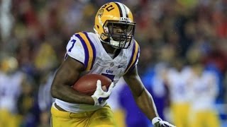 LSU Leonard Fournette Career Highlights quotStarboyquot [upl. by Gnilhsa163]