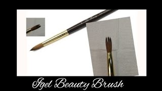 Igel Beauty Brush Review [upl. by Kassie]