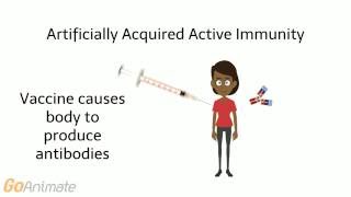 Antibody Mediated Immunity [upl. by Reiko]