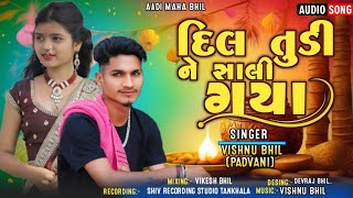 singer Vishnu bhil padvani NeW TIMLI CW Dil tudi 2024 [upl. by Olodort925]