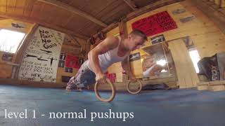 Dominik Sky  Ring Grip Push ups [upl. by Maze980]