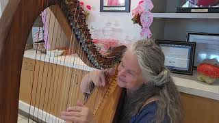 Amazing Grace on Celtic Harp  Toyota Series  David Kortier Harp [upl. by Cinom]