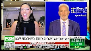 BITCOIN vs GOLD Peter Schiff vs Layah Heilpern Fox Business [upl. by Templia]