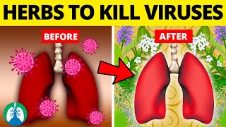 Top 10 Herbs for Lung Health Clearing Mucus COPD and Killing Viruses [upl. by Seilenna]