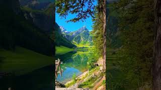 💞🥰Switzerlands natural wonderland shorts swiss nature swisslandscape swissalps song travel [upl. by Baird]