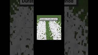 Minecraft duration of maths period minecraft gaming ytshorts ‎Xlierer [upl. by Candida]