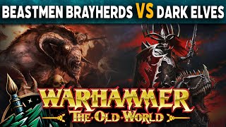 Beastmen Brayherds vs Dark Elves Warhammer The Old World Battle Report [upl. by Adnorrehs]