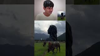 Internet ka beta video 😮 Mahadev hindu youtubeshorts shorts [upl. by Tse561]