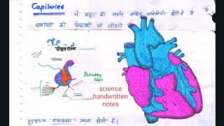 Complete science handwritten notes  All Railway exam complete science  science biologynotes [upl. by Hameerak]