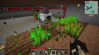 FTB Automatic Wheat Farm Lets play Ep 06 Unleashed [upl. by Andri234]