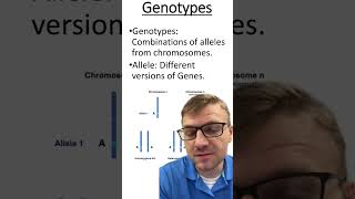 Genotypes Vs Alleles [upl. by Arbmahs]