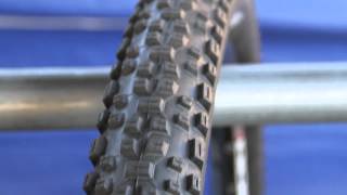 2012 Schwalbe  650b Nobby Nic Racing Ralph 29er Hans Dampf Mountain Bike Tires [upl. by Pentheas530]