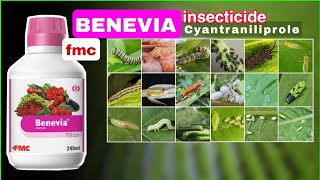 Fmc Benevia Insecticide  Cyantraniliprole 1026 OD Systemic Insecticide Uses  Tamil [upl. by Assira]