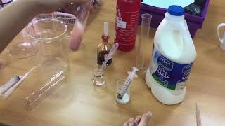 GCSE Biology Practical 10 Decay [upl. by Kamila471]