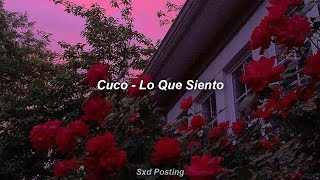 Cuco  Lo Que Siento Sub Español Lyrics [upl. by Arlen]