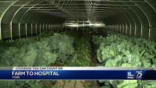 UPMC launches farmtohospital program to encourage healthy eating [upl. by Dviad87]