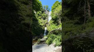 📍Pistyll Rhaeadr Wales waterfall countryside views nature sightseeing wales mustvisit [upl. by Milan]