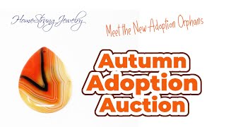 Meet the Orphans from the Autumn Adoption Auction [upl. by Leroj]