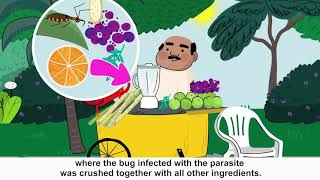 How Chagas disease is transmitted [upl. by Inoj]