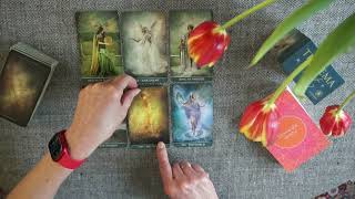 Tarot Byk Czerwiec 2024 roku Tarot Thelema [upl. by Auberta]