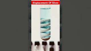 DISPLACEMENT OF SILVER  Copper Displaces Silver From Silver Nitrate Solution ytshorts Snay64 [upl. by Nosraep]