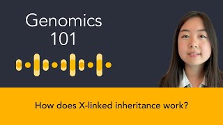 Nicole Chai How does Xlinked inheritance work [upl. by Asined]