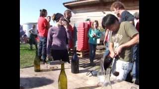 Pineau dAunis pressing [upl. by Sothena]