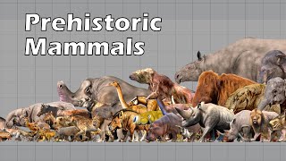 Size Comparison of Animals the Prehistoric Mammals [upl. by Cohla]