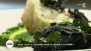 Kale  fautil craquer pour le légume à la mode [upl. by Adnerak]