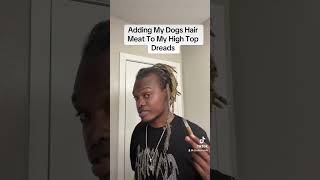 Adding my dogs hair meat to my dreads [upl. by Aicetal676]