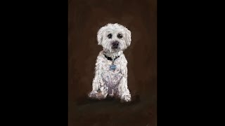 Pet Portrait timelapse  heres how its done in Adobe Fresco painting adobefresco oilpainting [upl. by Lulita]