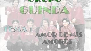 AMOR DE MIS AMORES  GRUPO GUINDA [upl. by Adnawak593]