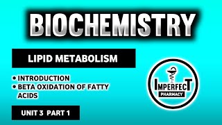 Beta Oxidation Of Fatty Acids  Lipid Metabolism  Biochemistry  B Pharma 2nd Semester [upl. by Orland626]