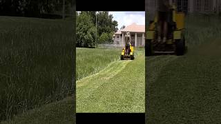 Mowing Tall Bahia Field Grass Fast time lapse [upl. by Dnalra]