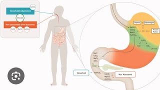 Gastro intestinal agents  Acidifying agents  Antacids  Aluminium hydroxide gel pharmacist ncert [upl. by Leventis]