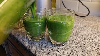 Beauty Smoothie groene groente  FURROWNL [upl. by Galloway31]