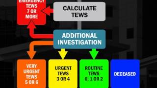 SATS video manual Chapter 2  Step by Step Approach [upl. by Anillehs198]